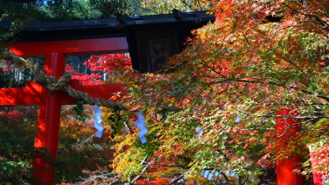 鍬山神社の概要